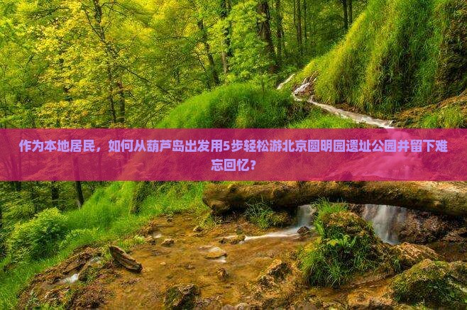 作为本地居民，如何从葫芦岛出发用5步轻松游北京圆明园遗址公园并留下难忘回忆？