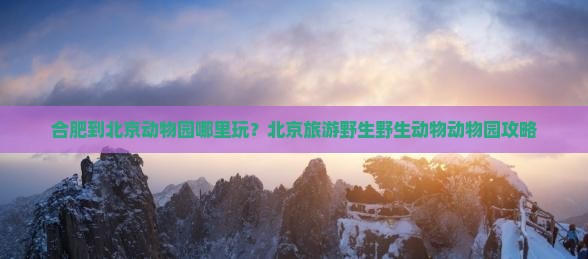 合肥到北京动物园哪里玩？北京旅游野生野生动物动物园攻略