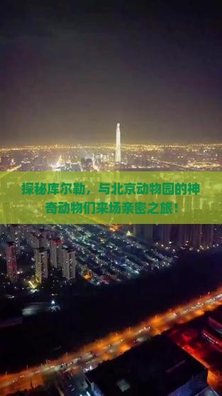 探秘库尔勒，与北京动物园的神奇动物们来场亲密之旅！
