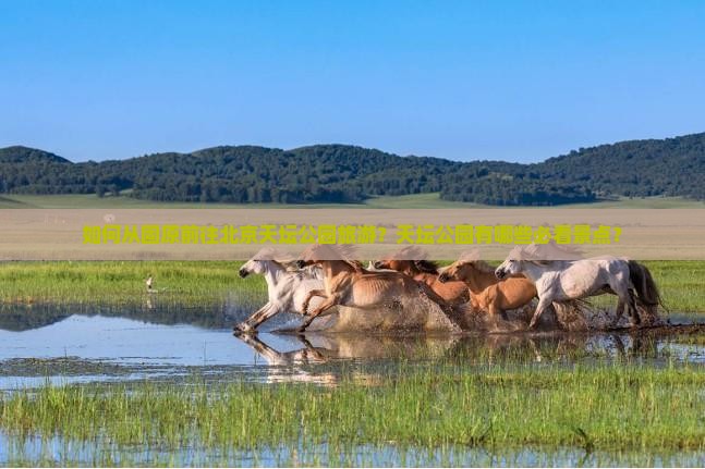 如何从固原前往北京天坛公园旅游？天坛公园有哪些必看景点？