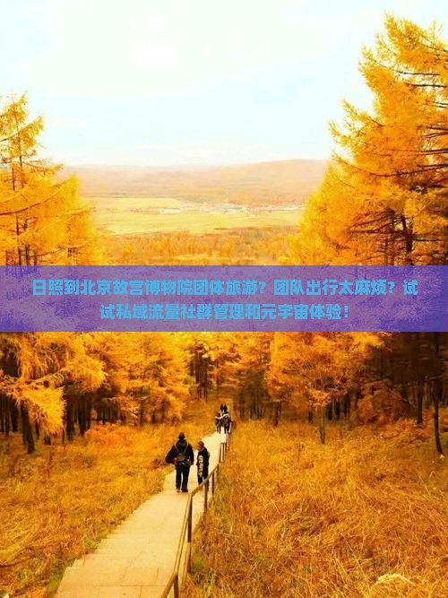 日照到北京故宫博物院团体旅游？团队出行太麻烦？试试私域流量社群管理和元宇宙体验！