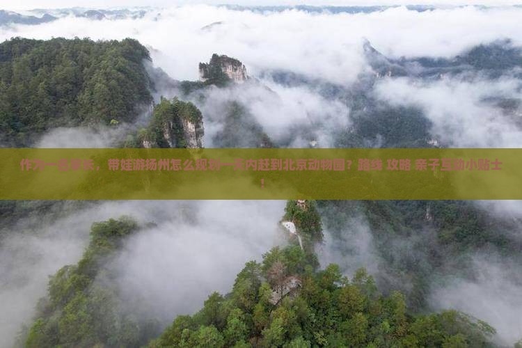 作为一名家长，带娃游扬州怎么规划一天内赶到北京动物园？路线+攻略+亲子互动小贴士！