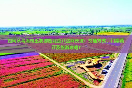 如何从乌海市出发游览北京八达岭长城：交通方式、门票预订及旅游攻略？
