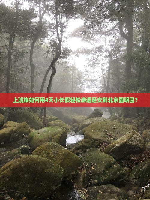 上班族如何用4天小长假轻松游遍延安到北京圆明园？