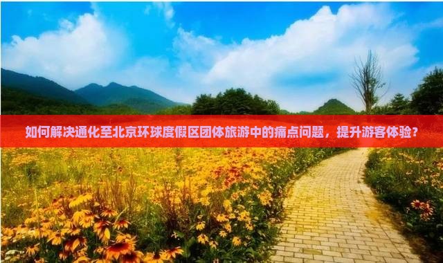 如何解决通化至北京环球度假区团体旅游中的痛点问题，提升游客体验？
