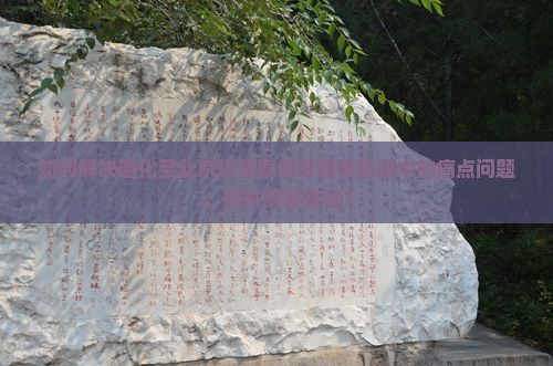如何解决通化至北京环球度假区团体旅游中的痛点问题，提升游客体验？