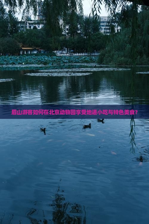 眉山游客如何在北京动物园享受地道小吃与特色美食？