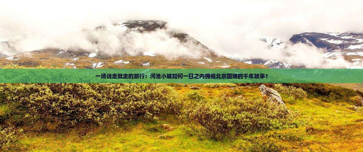 一场说走就走的旅行：河池小城如何一日之内拥抱北京国博的千年故事？