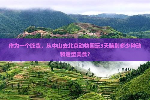 作为一个吃货，从中山去北京动物园玩3天脑到多少种动物造型美食？