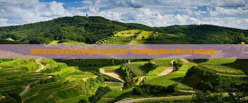 如何规划济南至北京动物园七日游行程？深度游痛点解析与网红打卡新攻略！