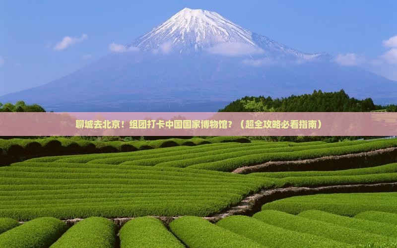 聊城去北京中国国家博物馆大型旅游团