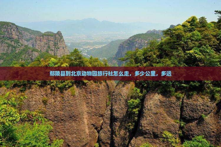 鄢陵县到北京动物园旅行社