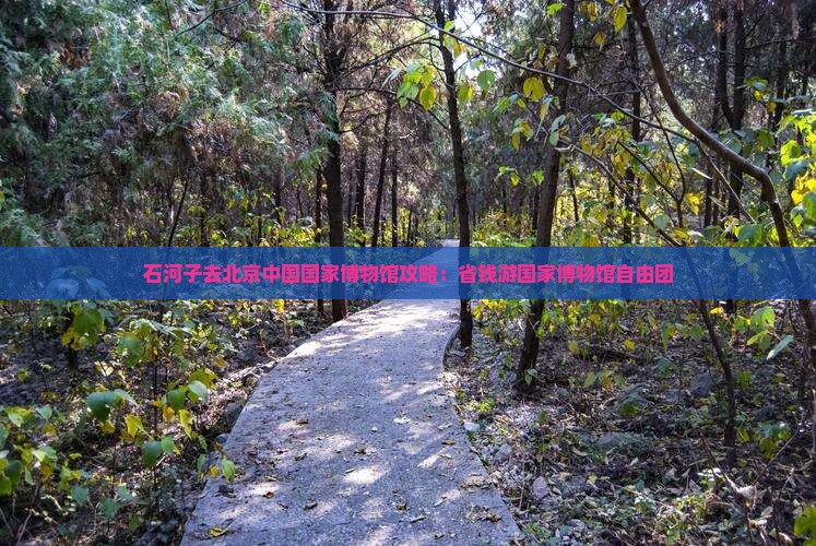 石河子去北京中国国家博物馆自由团
