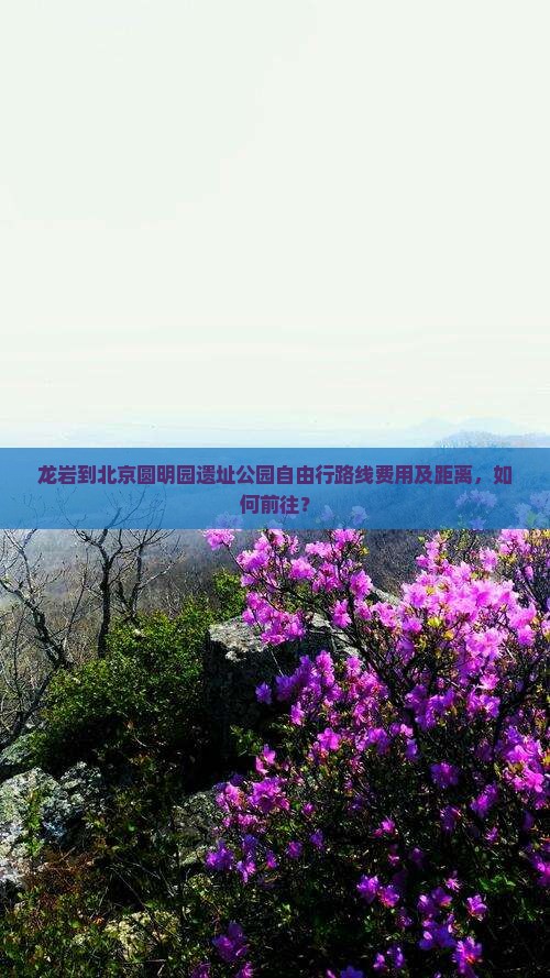 龙岩到北京圆明园遗址公园自由行