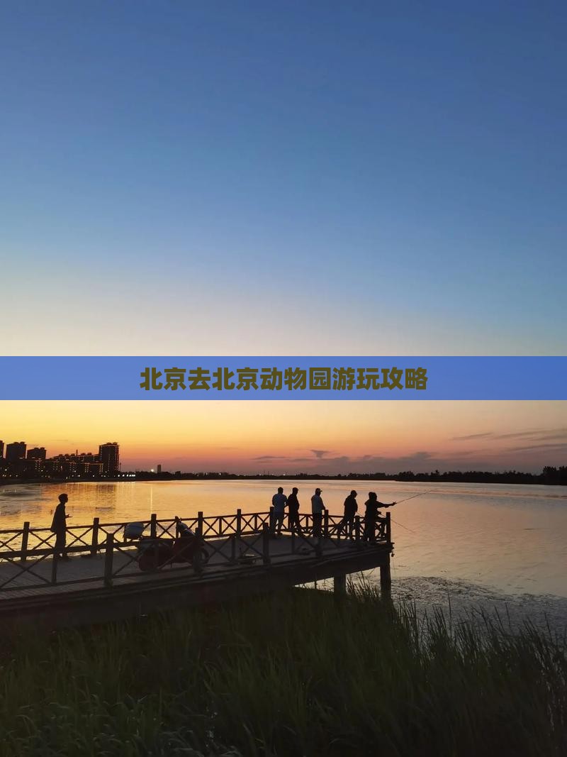 咸宁去北京动物园攻略