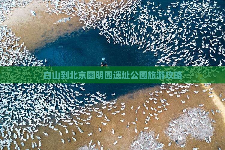 白山到北京圆明园遗址公园旅游