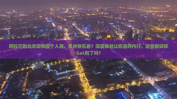 阿拉尔到北京动物园个人游