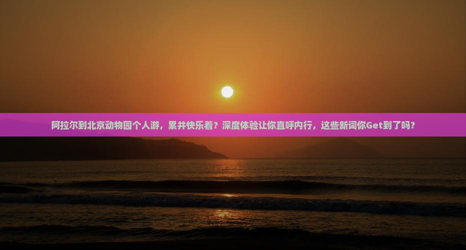 阿拉尔到北京动物园个人游