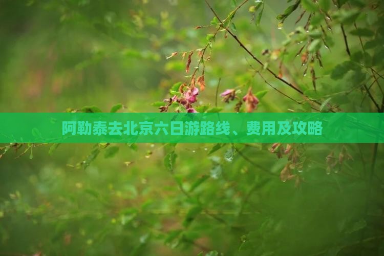 阿勒泰去北京六日游
