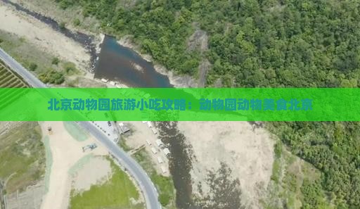三月去北京动物园旅游小吃