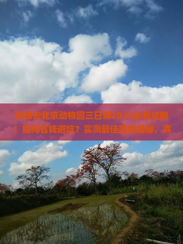 赤峰去北京动物园三日游