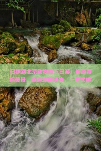日照到北京动物园五日游