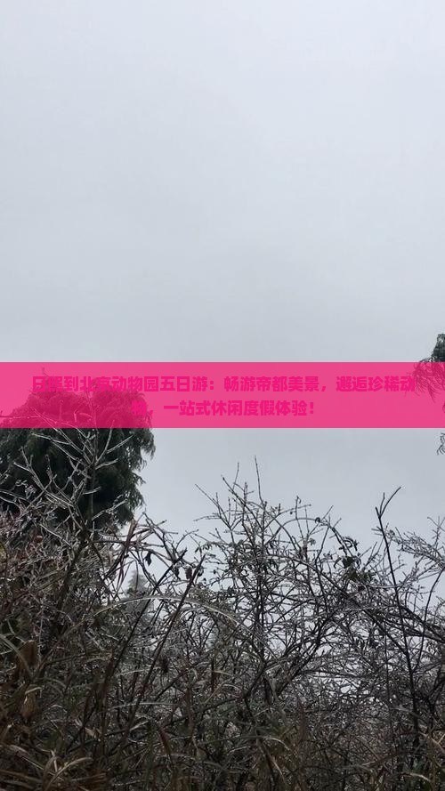 日照到北京动物园五日游
