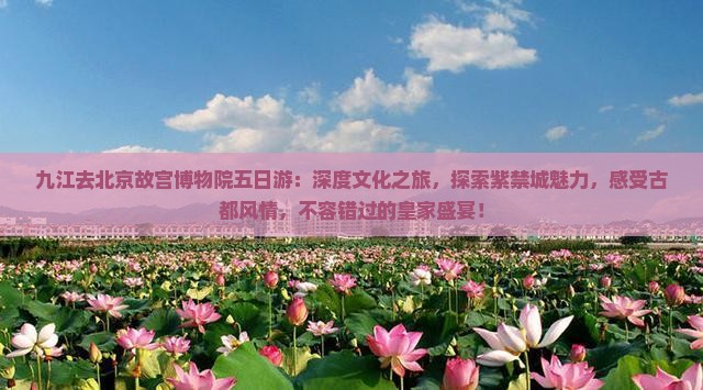 九江去北京故宫博物院五日游