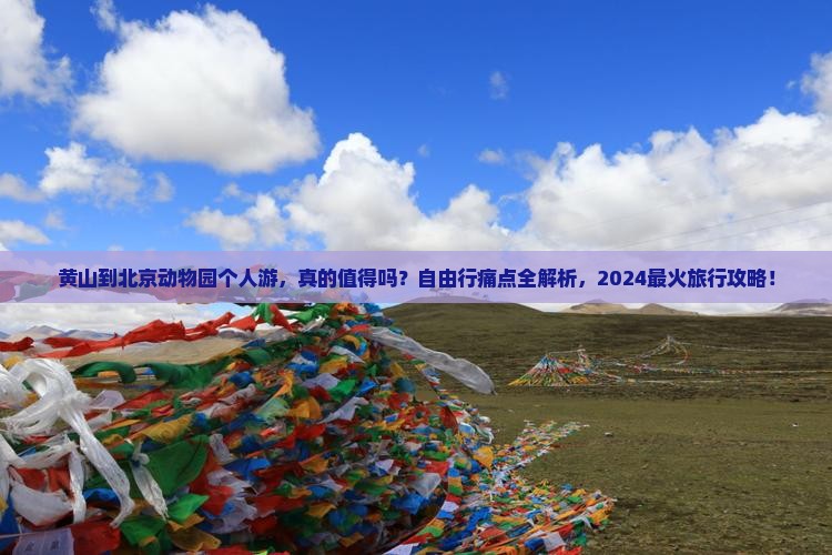 黄山到北京动物园个人游