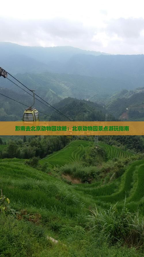 黔南去北京动物园景点