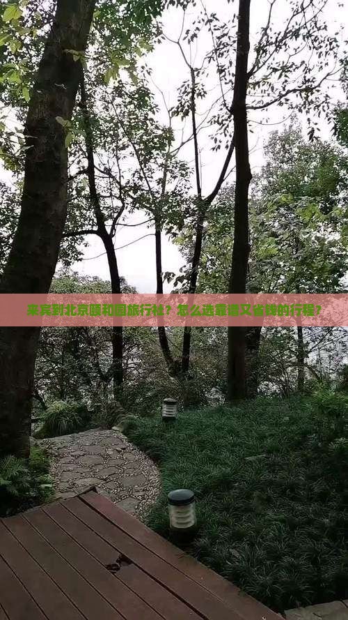 来宾到北京颐和园旅行社
