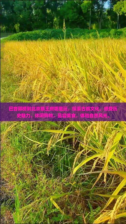巴音郭楞到北京恭王府哪里玩