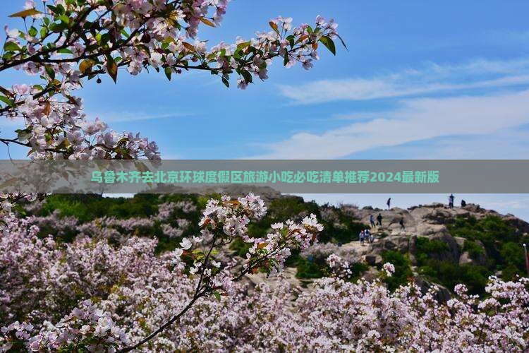 乌鲁木齐去北京环球度假区旅游小吃