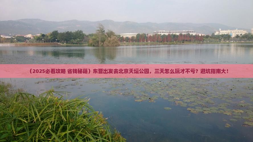 东营到北京天坛公园三日游