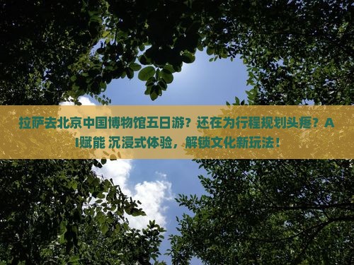 拉萨去北京中国国家博物馆五日游