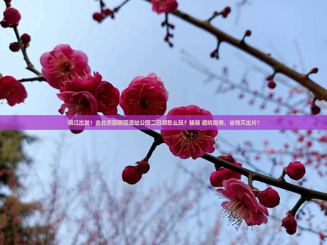 镇江去北京圆明园遗址公园二日游