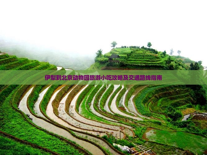 伊犁到北京动物园旅游小吃攻略及交通路线指南
