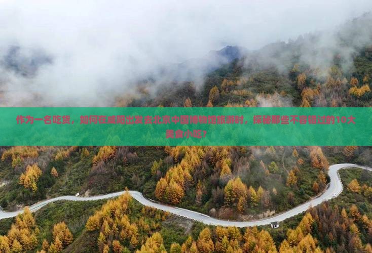 作为一名吃货，如何在咸阳出发去北京中国博物馆旅游时，探秘那些不容错过的10大美食小吃？