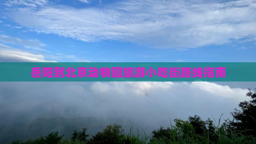 岳阳到北京动物园旅游小吃街路线指南