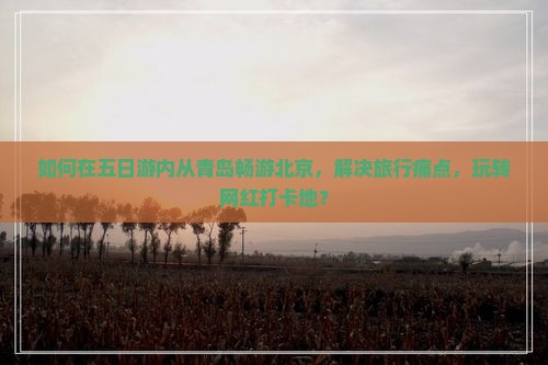 如何在五日游内从青岛畅游北京，解决旅行痛点，玩转网红打卡地？