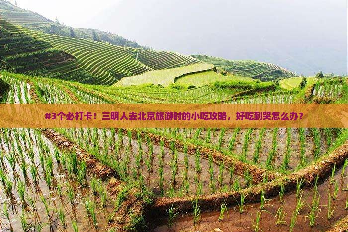 #3个必打卡！三明人去北京旅游时的小吃攻略，好吃到哭怎么办？