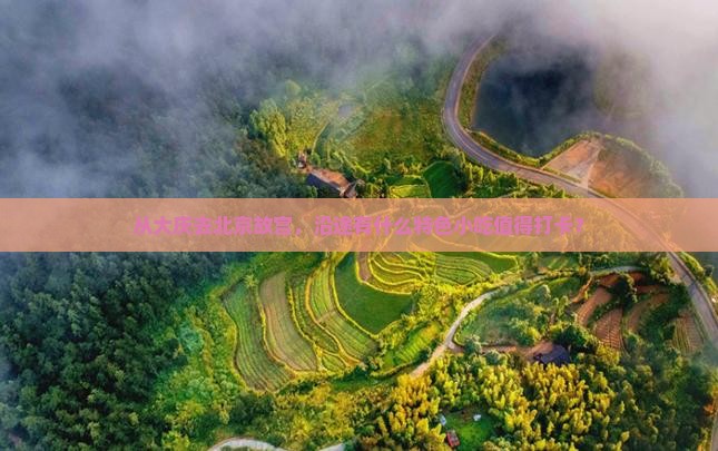 从大庆去北京故宫，沿途有什么特色小吃值得打卡？