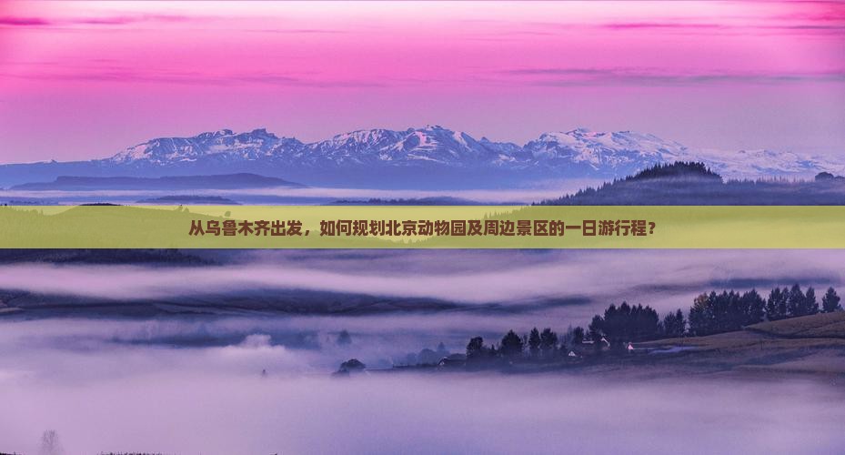从乌鲁木齐出发，如何规划北京动物园及周边景区的一日游行程？