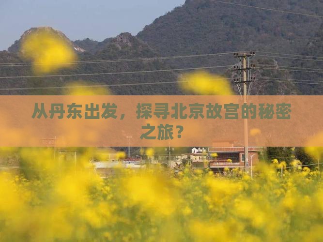 从丹东出发，探寻北京故宫的秘密之旅？