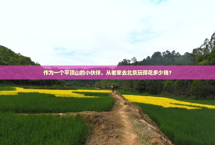 作为一个平顶山的小伙伴，从老家去北京玩得花多少钱？