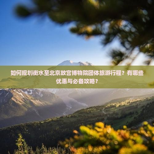 如何规划衡水至北京故宫博物院团体旅游行程？有哪些优惠与必备攻略？