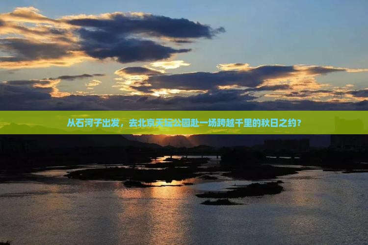 从石河子出发，去北京天坛公园赴一场跨越千里的秋日之约？