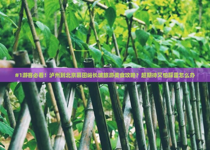 #1游客必看！泸州到北京慕田峪长城旅游美食攻略？超期待又怕踩雷怎么办