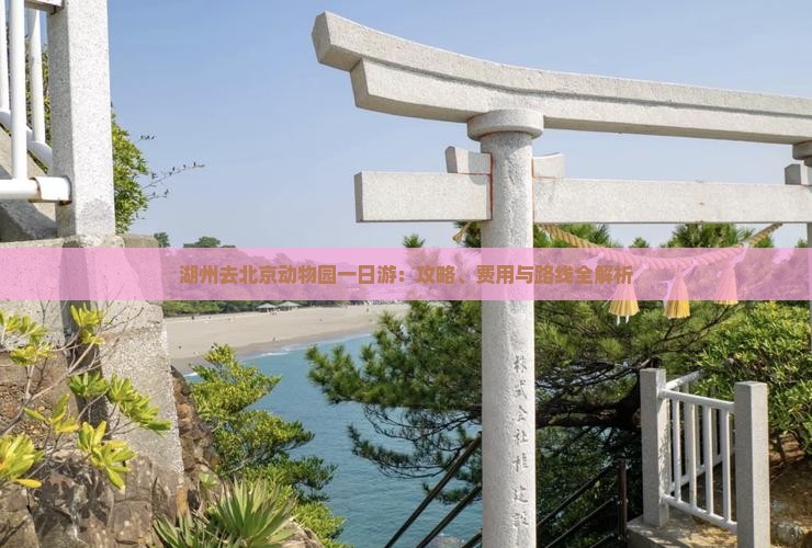 湖州去北京动物园一日游：攻略、费用与路线全解析
