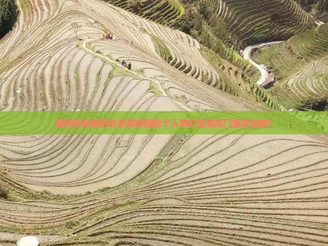 如何将阜新到北京动物园的个人游打造成热门痛点攻略？